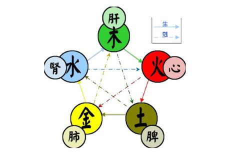 五行之人|五行（对万事万物的取象比类）